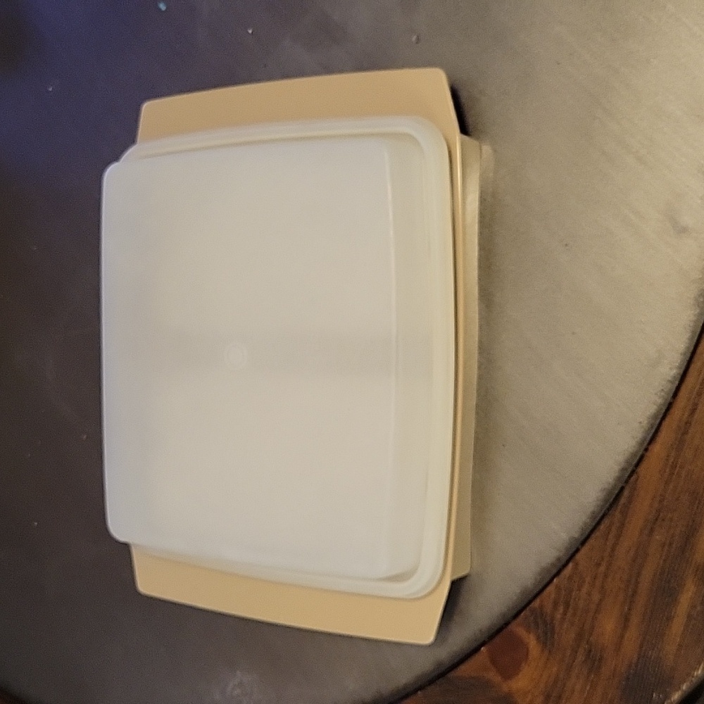 Vintage Tupperware Deviled Egg storage